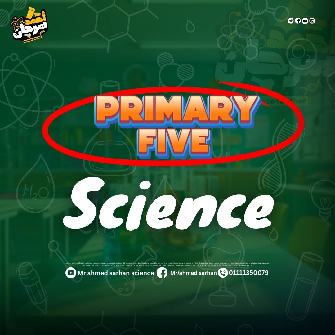 الصف الخامس